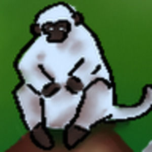 Meet your Posher, Millie